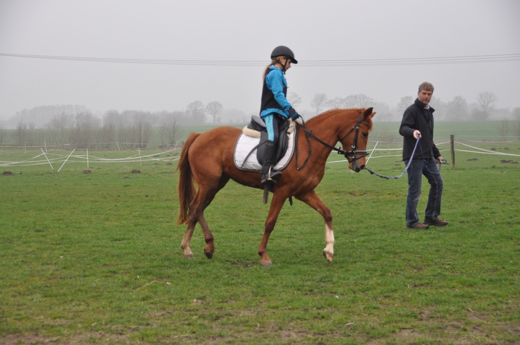 88 06 Die erst 3J. Petit Dechantee unter der erst 10 J. Martha Wallner aus Österreich die FS Chambertin Tochter ist erst seit einer Woche unterm Sattel