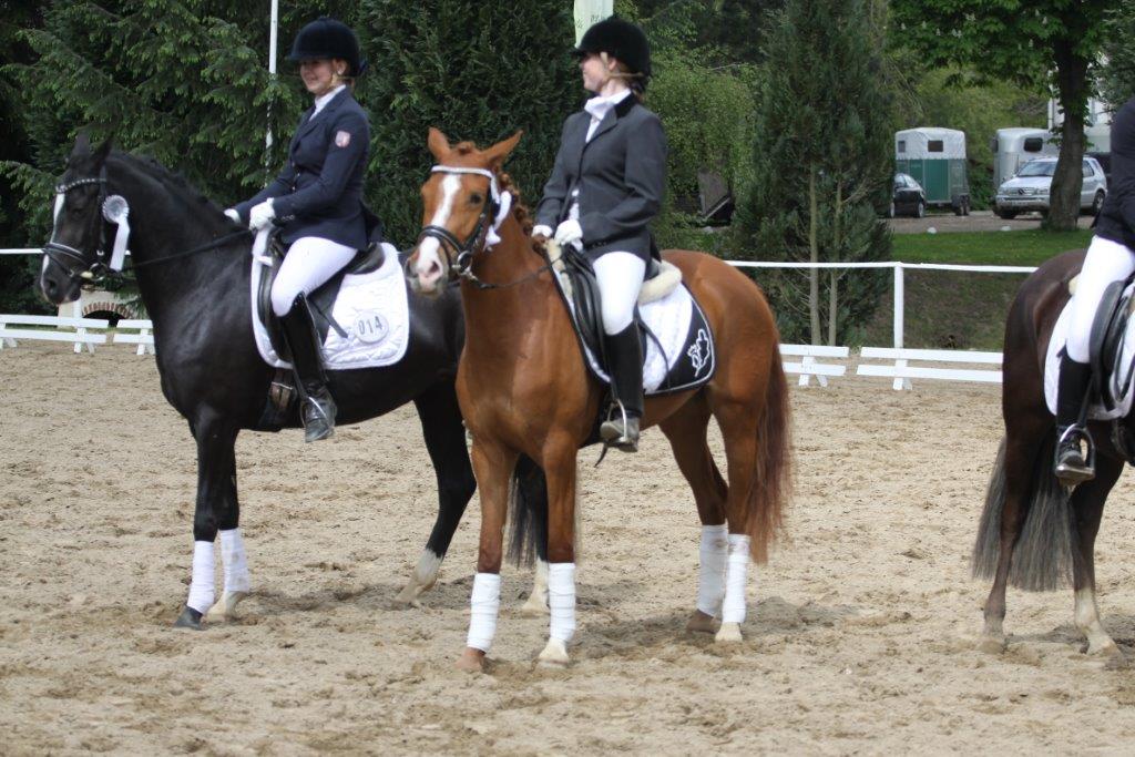 88 11 Petit Dechantee beim Schleswig Holstein Schaufenster