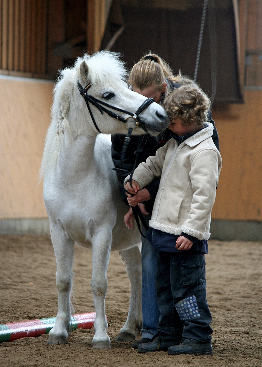 06-Isabell Jungzuechtertag 2010 11