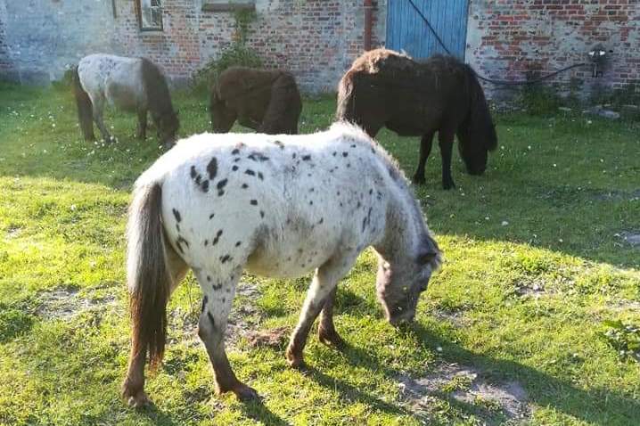 30-IMG 1586154965281