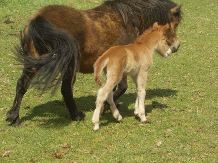 30-IMG 1586155010110