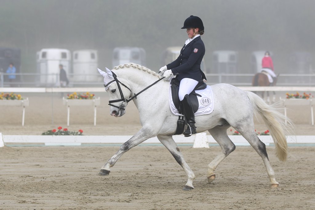 51-11-Petit Marc Aurel